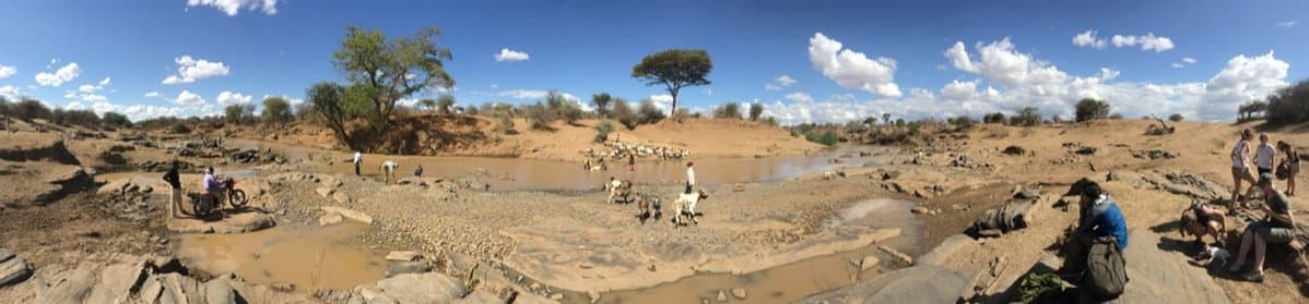 People and livestock gather along a shallow river in a dry landscape dotted with trees.